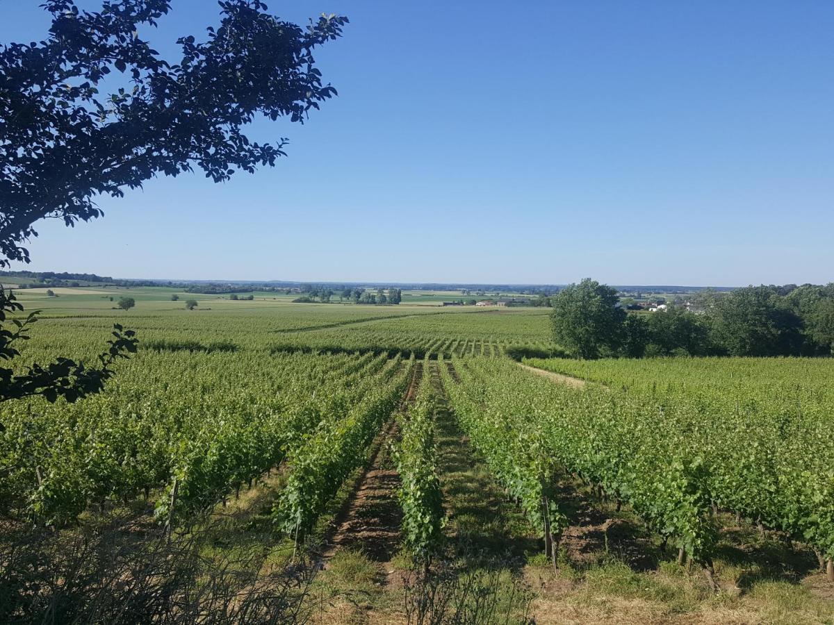 Au Creux Des Vignes Hotell Les Verchers-sur-Layon Eksteriør bilde